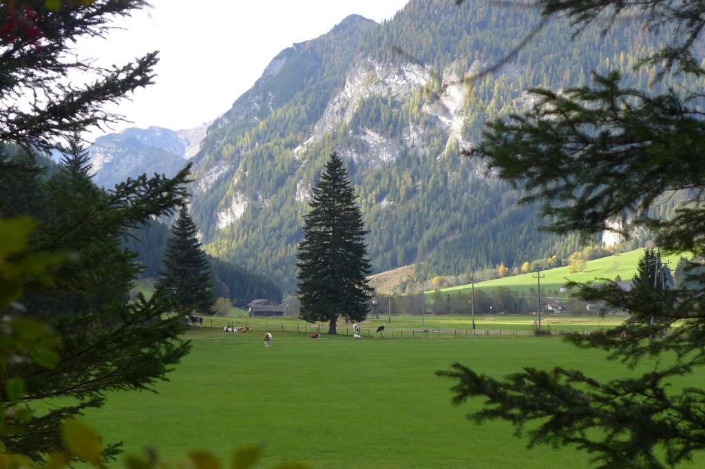 Haus Salzburgerland Mauterndorf (Salzburg)
