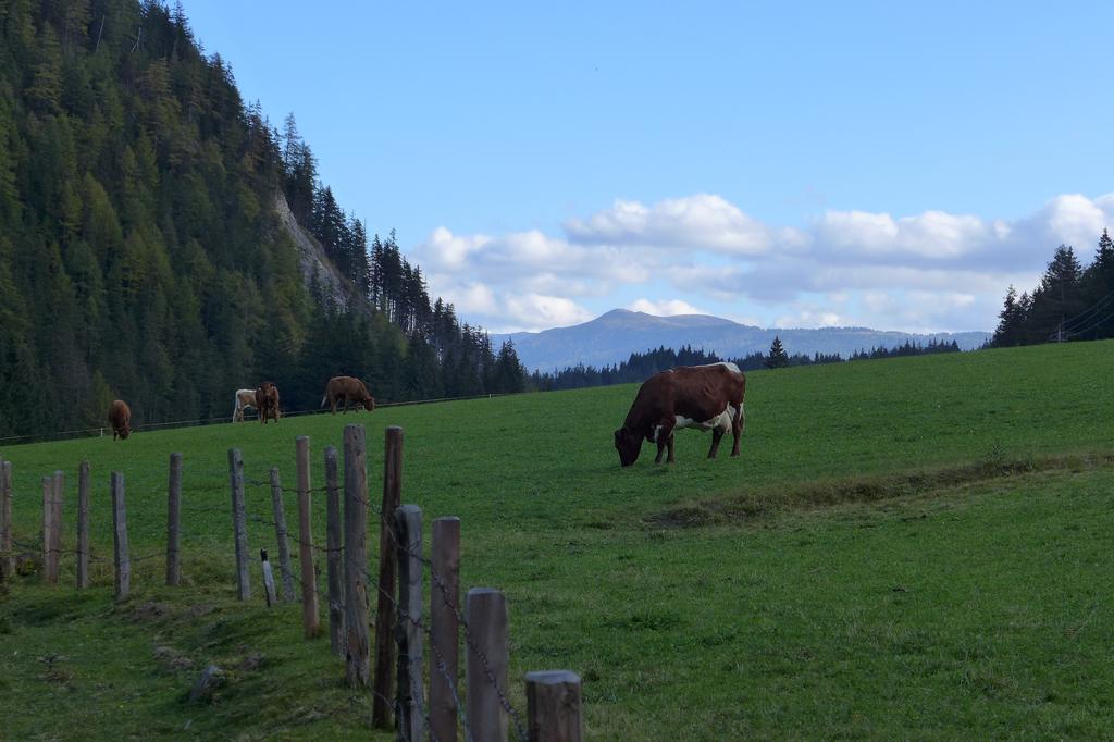 Haus Salzburgerland Apartment *
